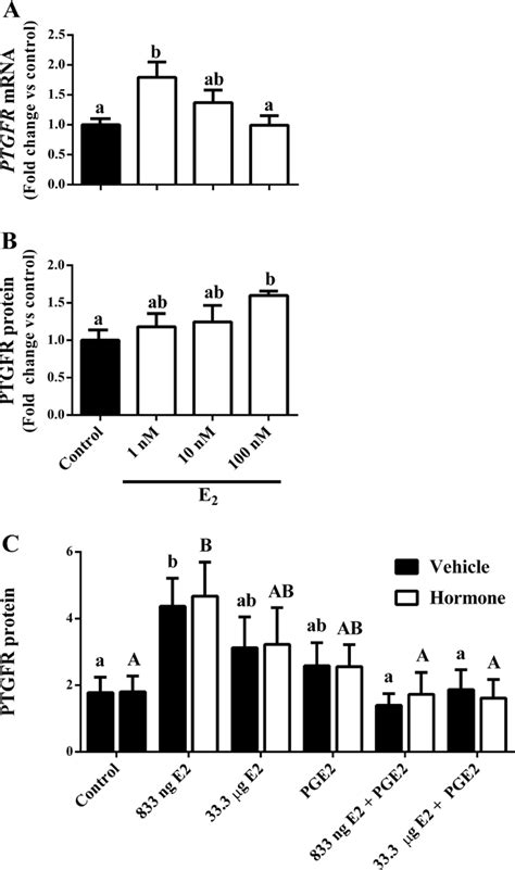 Effect of estradiol 17β E 2 1 100 nM on prostaglandin F2α receptor