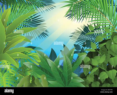 Tropical Forest Background Stock Vector Image And Art Alamy