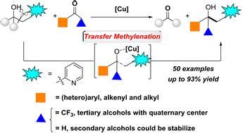 铜催化的醇类 C sp3 C sp3 键断裂转移亚甲基化 Organic Chemistry Frontiers X MOL