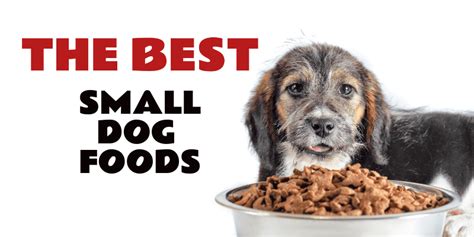 The 10 Best Foods For Small Dog Breeds & Puppies