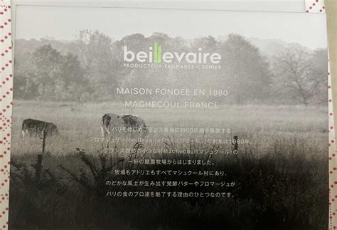 Beillevaire（ベイユヴェール）のチーズケーキ！クリームチーズケーキ 美味しい物好きで健康志向 楽天ブログ