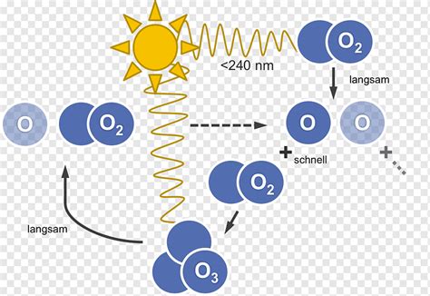 Ozone Cycle