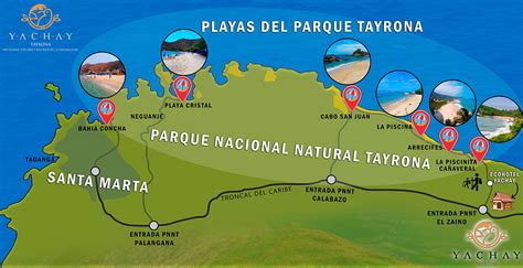 Guide Complet Pour Visiter Le Parc Tayrona 2024