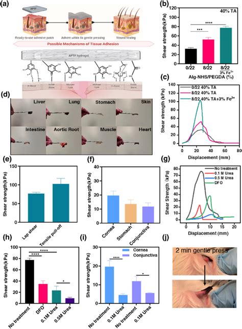 Adhesion Assessment Of Aptf Hydrogels A Illustration Of Adhesion Download Scientific Diagram