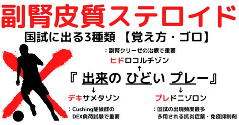 副腎皮質ステロイド3種類ポイントまとめ【覚え方・ゴロ】cbt国試対策 ゴロゴロ医学