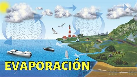 Evaporación del agua Conoce más sobre este proceso natural Tratamos