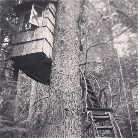 Treehouse at treehouse point, Fall City Washington #treehouse #fallcity #petenelson #river # ...