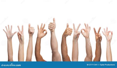 Human Hands Showing Thumbs Up Ok And Peace Signs Stock Image Image