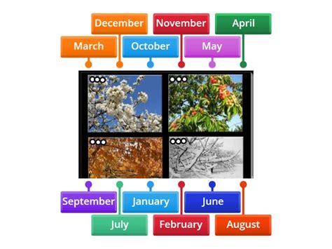 Seasons months - Labelled diagram