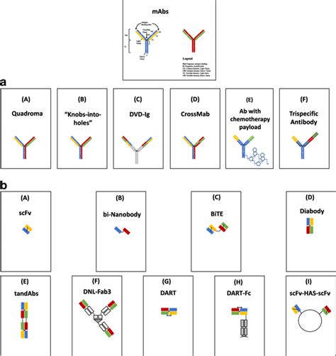 a: Some formats of IgG-like bispecific antibodies and a trispecific ...