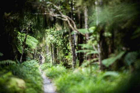 At Old Ghost Road In Christchurch New Zealand Photo By HI Adventures