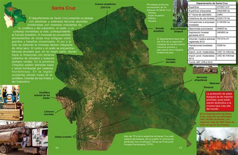 C5 Bosques En La Tierra Y En Bolivia Riquezas De Bolivia