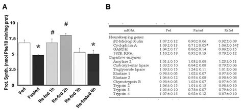 Pancreatic Digestive Enzyme Synthesis And Its Translational Control