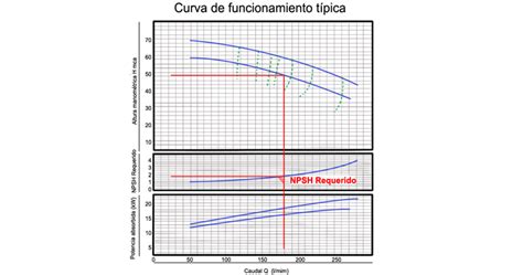 El Npsh Y El Efecto De Cavitaci N Art Culo T Cnico