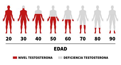 ¿testosterona Baja Síntomas En Hombres Blog Nutrición Deportiva Deporte Y Salud Vitobest Blog