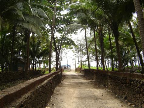 Ma, I shot something: Guhagar Beach