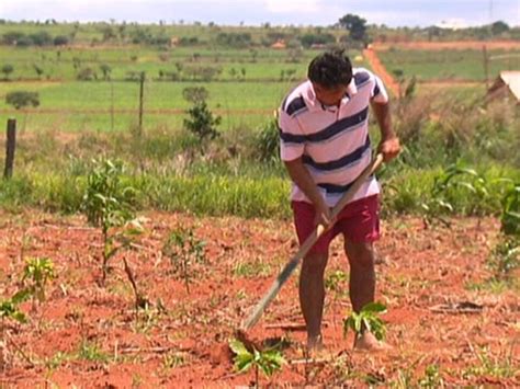 Vídeo Produtores rurais regularizam terras de assentamentos mais