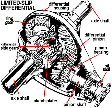 Rear Differential Diagram