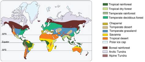 Printable World Biome Map