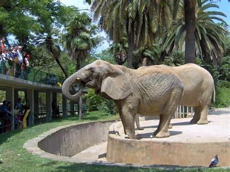 Los 6 Zoológicos Más Impresionantes De España Para Visitar Con Niños