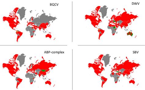 World Maps Depicting The Viral Distribution Of Dwv Bqcv Sbv And The