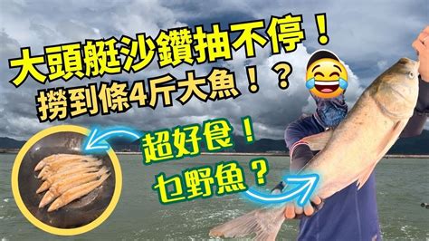 【西水艇釣】大頭艇沙鑽抽不停！撈到條4斤奇怪大魚！？fishing Fish 艇釣 釣魚 船釣 港水 Youtube