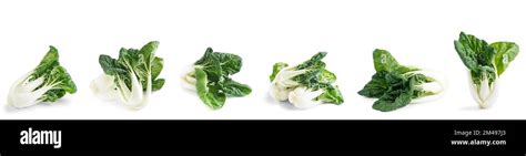 Fresh Pak Choi Cabbage On White Background Stock Photo Alamy