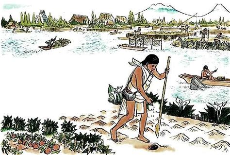 chinampas Antiguo México Cultura azteca Aztecas y Mexica