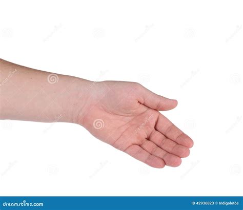 Open Palm Hand Gesture Of Male Hand Stock Image Image Of Palm