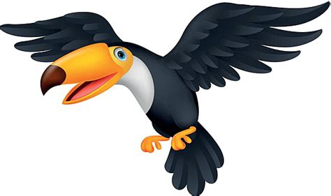 Cute Toucan Bird Cartoon Flying Summer Animated Vibrant Vector Summer