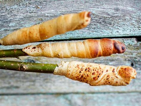 Stockbrot Das Einfache Rezept