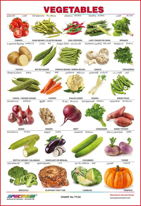 Vegetables Names