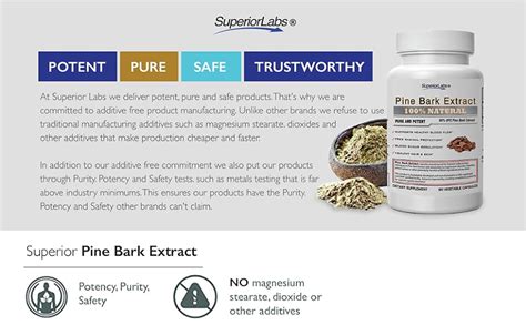 Amazon Superior Labs Pine Bark Extract Superior Circulatory