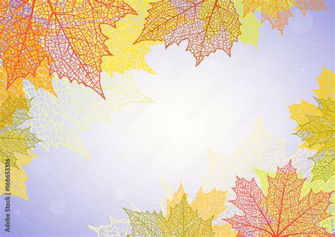 Autumn background and leaves of a maple Stock Vector | Adobe Stock