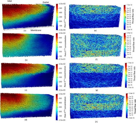 Distribution Of V 5 Concentration [mol M −3 ] Left And Fluid Flow Download Scientific