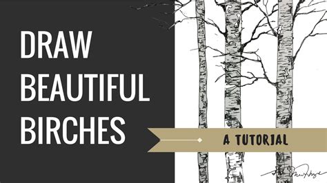 Tutorial How To Draw A Birch Tree Youtube