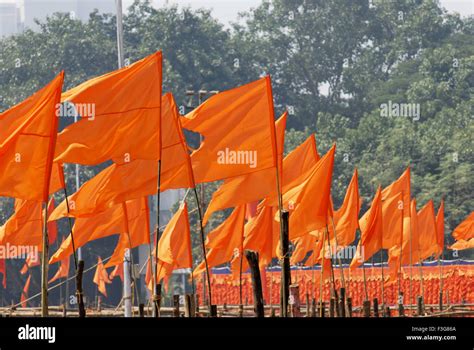 Saffron Stands For In Indian Flag