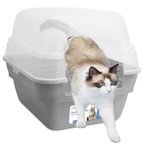 Big Cat Litter Boxes