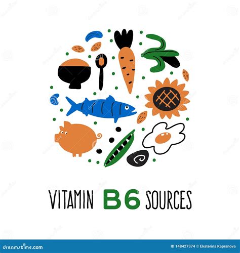 Vitamin B 6 Food Sources Pyridoxine Vector Cartoon Illustration