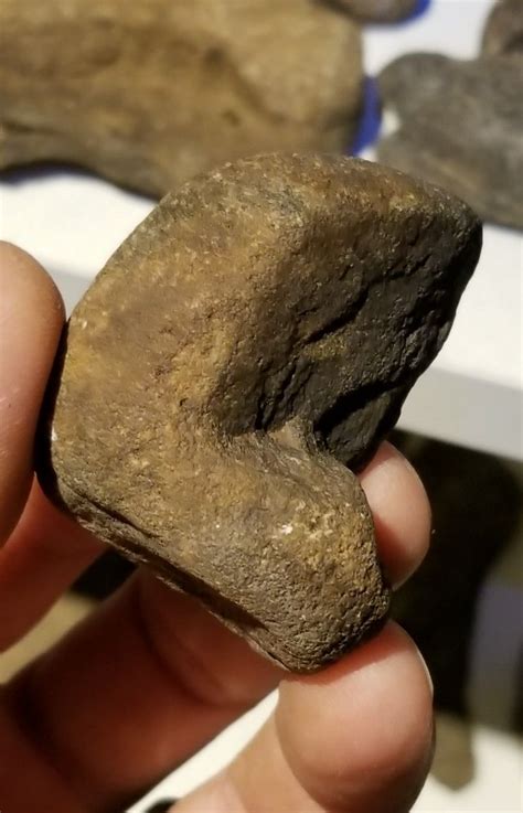 Valuable Identification Native American Effigy Stones Hotsell Dakora