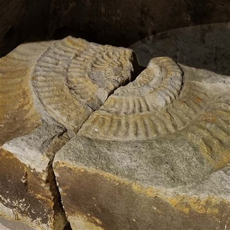 Everything you need to know about ladbroke grove station accessibility 29