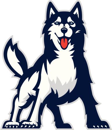 Huskie Mascot Stock Illustration - Download Image Now - iStock