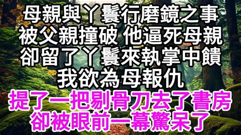 母親與丫鬟行磨鏡之事，被父親撞破，他逼死母親，卻留了丫鬟來執掌中饋，我欲為母報仇，提了一把剔骨刀去了書房，卻被眼前一幕驚呆了 【美好人生