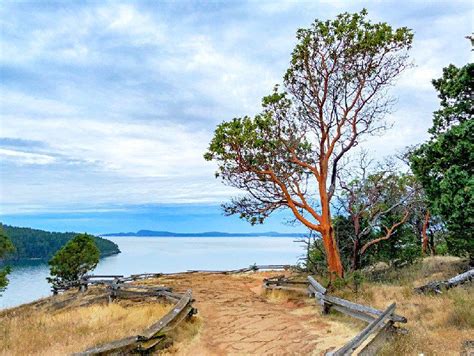 16 Top Rated Attractions And Things To Do In Puget Sound Wa Puget