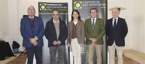 Cooperativas Agro Alimentarias De Sevilla Reclama Soluciones Urgentes