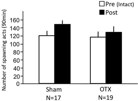 Effects Of Olfactory Tract Section On Female Sexual Behavior In Female