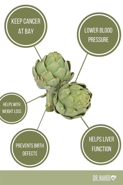 11 Insane Health Benefits Of Artichokes Ask Dr Nandi Official Site