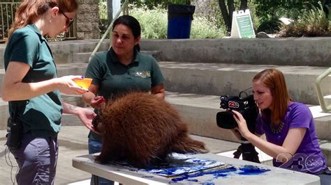 California Living Museum To Close Early On Friday For Event