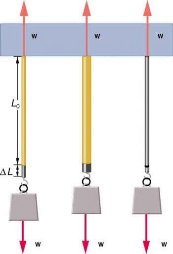 Elasticity Stress And Strain Physics