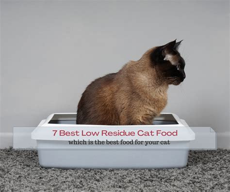 7 Best Low Residue Cat Food In 2022 - Pet Food Site